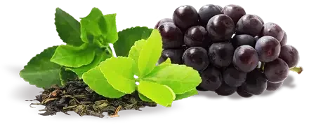 Cerebrozen ingredients